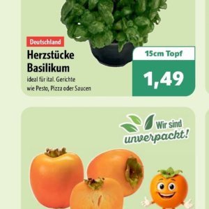 Pesto bei Aktiv Irma