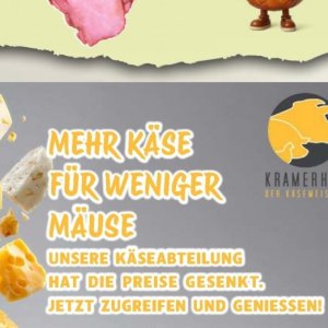 Käse bei Aktiv Irma