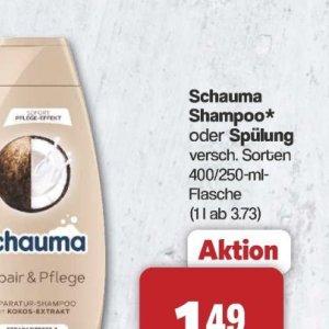 Shampoo