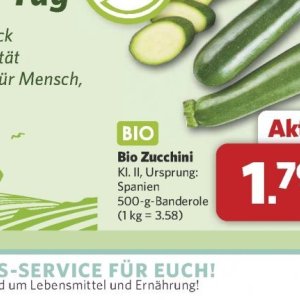 Zucchini