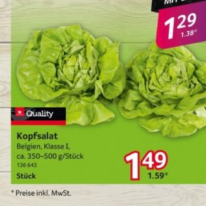 Kopfsalat