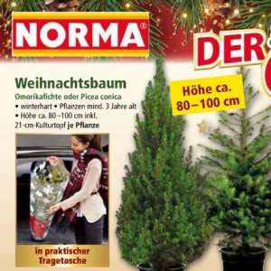 Weihnachtsbaum