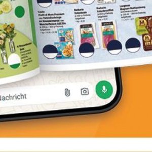 Rasierklingen gillette