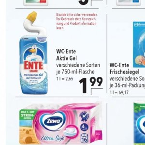 Ente bei Citti Markt