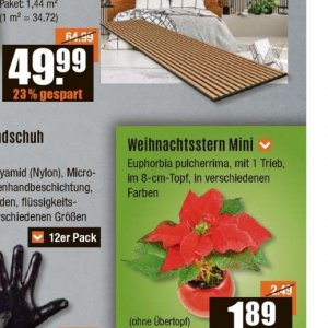 Weihnachtsstern