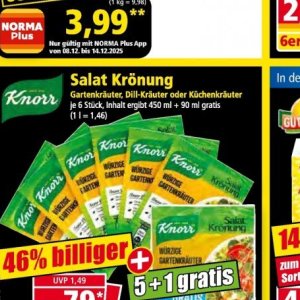 Knorr