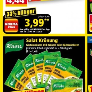 Knorr