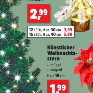 Weihnachtsstern
