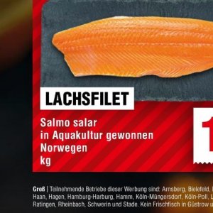 Lachsfilet