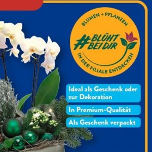 Lautsprecher samsung