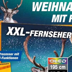 Fernseher