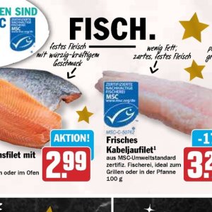 Fleisch