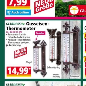 Thermometer