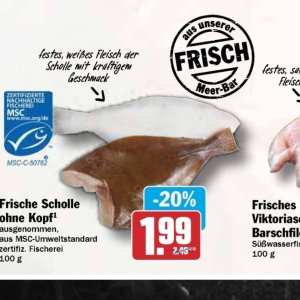 Fleisch