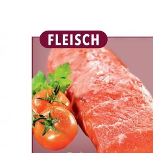 Fleisch