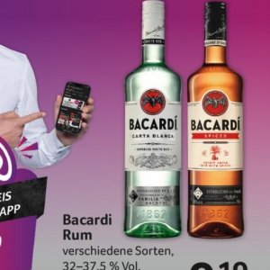 Bacardi