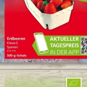 Erdbeeren
