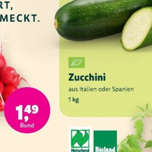 Zucchini
