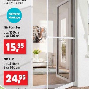 Fenster