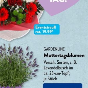 Gartengarnituren