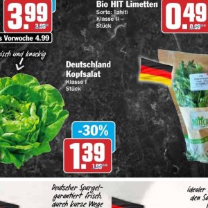 Kopfsalat bei AEZ