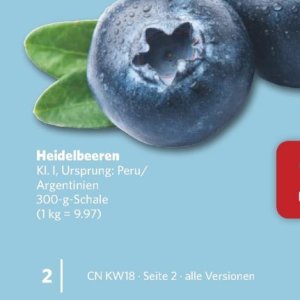 Heidelbeeren