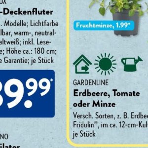 Gartengarnituren