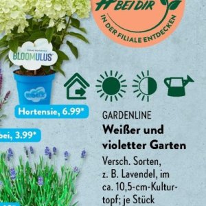 Gartengarnituren