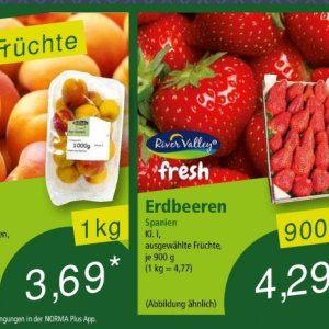 Erdbeeren