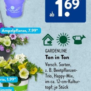 Gartengarnituren