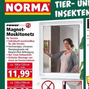 Fenster