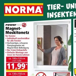 Fenster