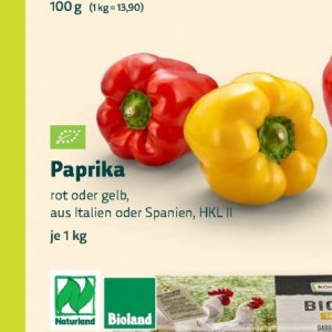 Paprika