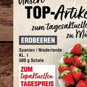 Erdbeeren bei Handelshof