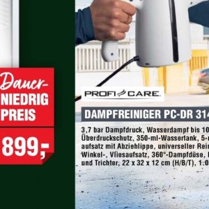 Dampfreiniger