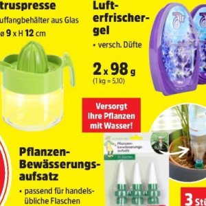 Pflanzen