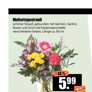 Strauß