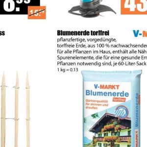 Pflanzen