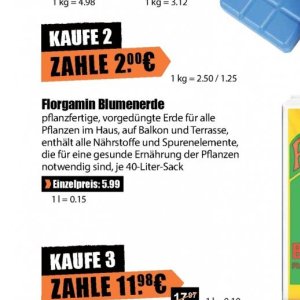 Pflanzen