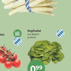 Kopfsalat