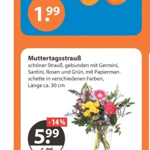 Strauß bei V-Markt