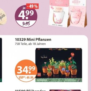 Pflanzen