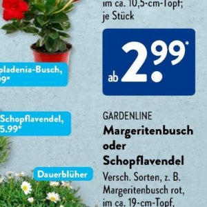 Gartengarnituren