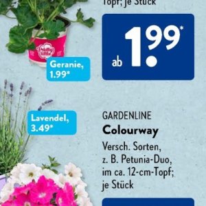 Gartengarnituren