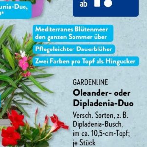 Gartengarnituren