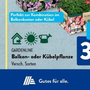 Gartengarnituren