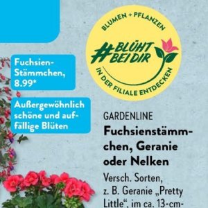 Gartengarnituren
