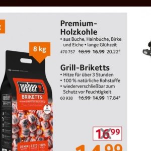 Grill briketts bei Selgros