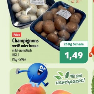 Champignons