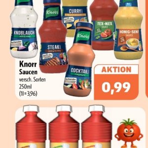 Knorr